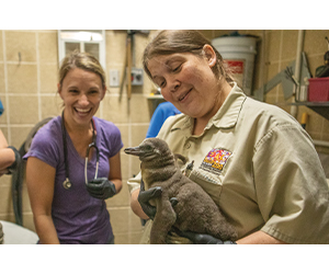 handler and penguin